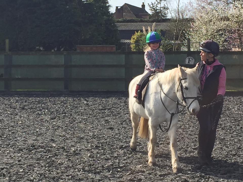 Horse Riding Lessons and Training